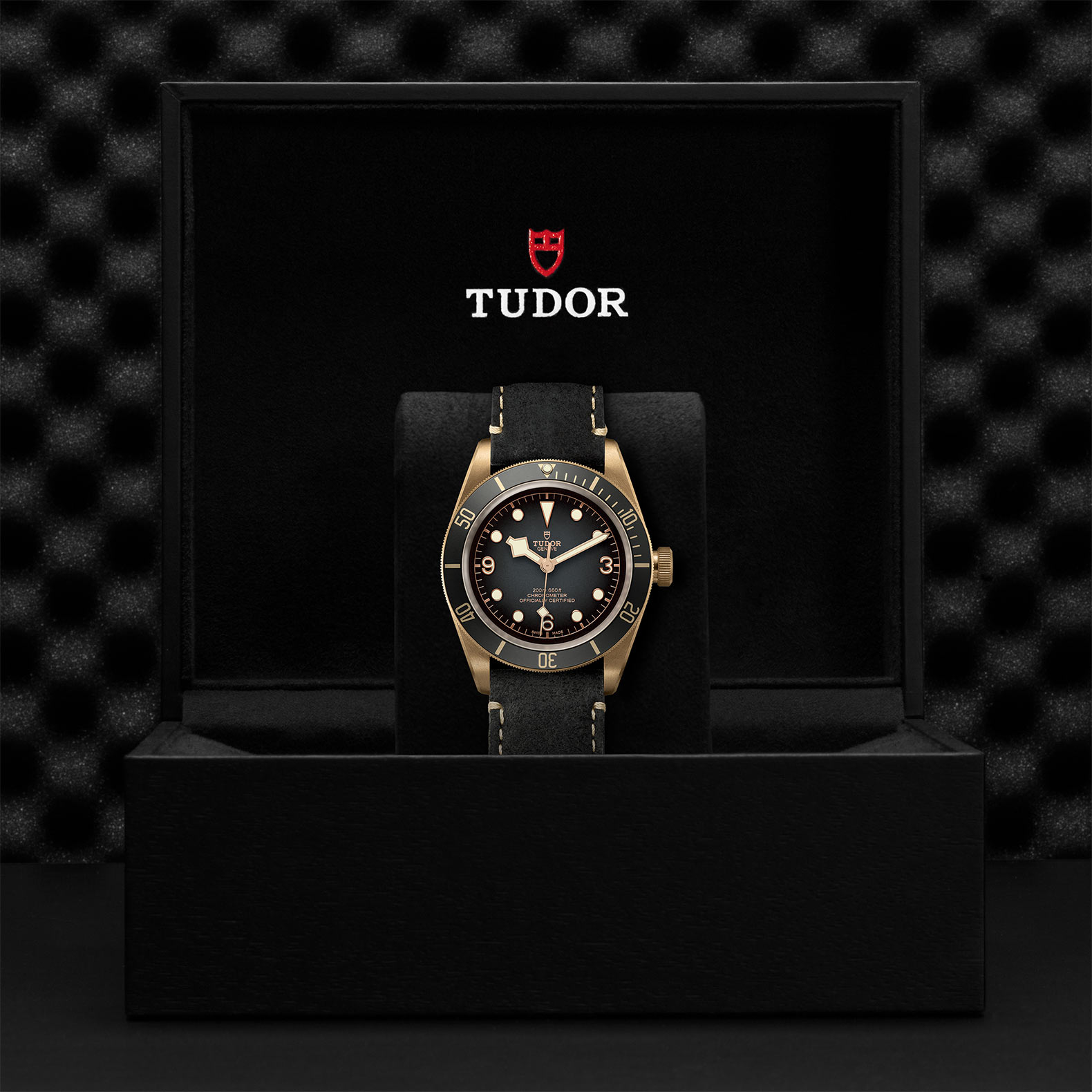 TUDOR Black Bay Bronze 43mm M79250BA-0001– CD Peacock