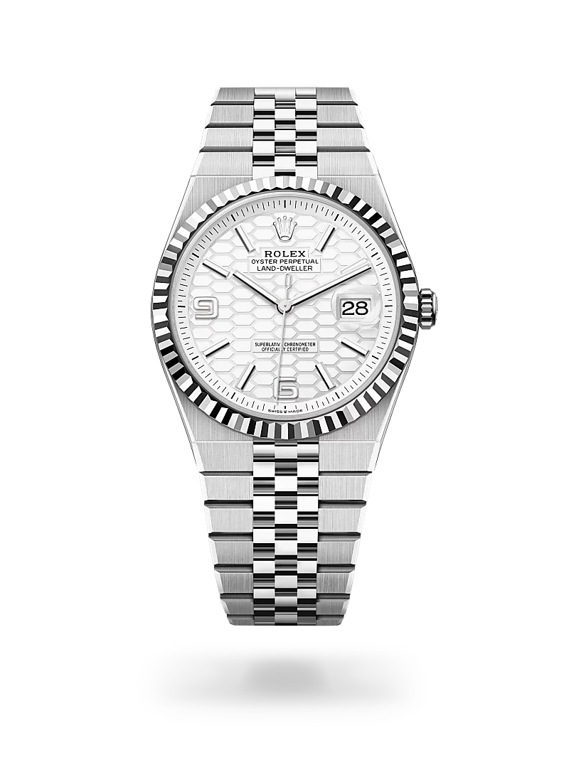 rolex-land-dweller-40-in-m127334-0001-CD-Peacock