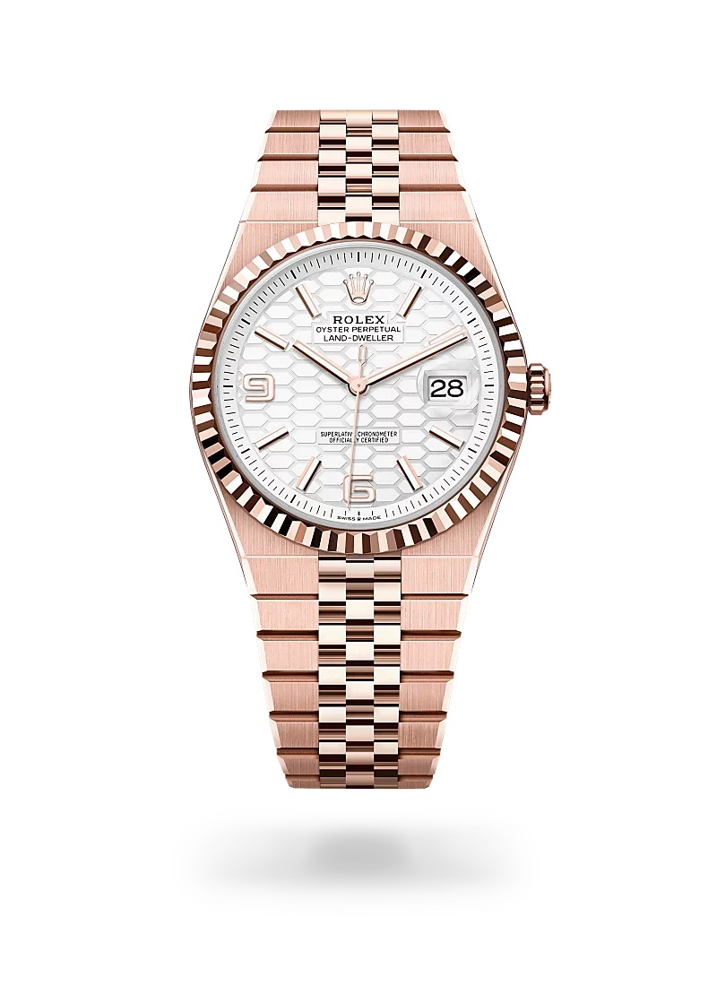 rolex-land-dweller-40-in-m127335-0001-CD-Peacock