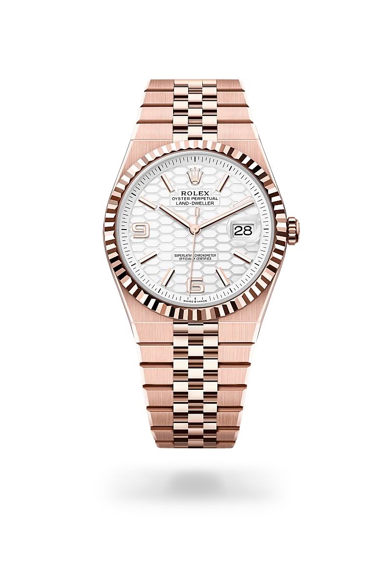 rolex-land-dweller-40-in-m127335-0001-CD-Peacock